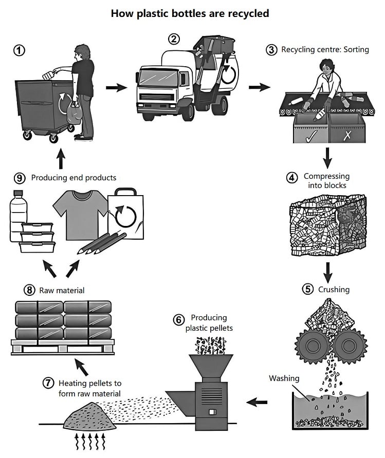 The Process of Recycling Plastic Bottles